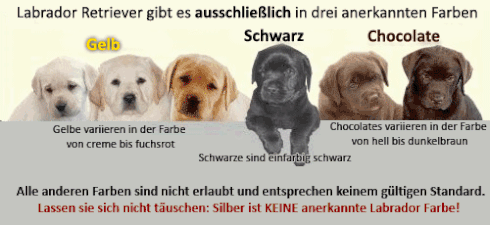 image.gif