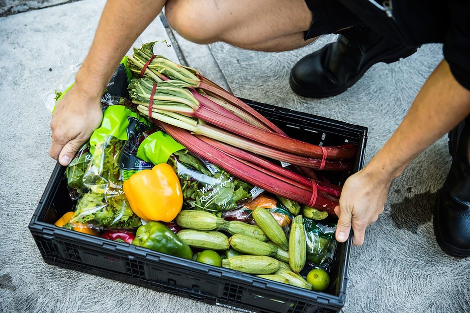 OzHarvest-rescued-food_NikkiTo-1-scaled.