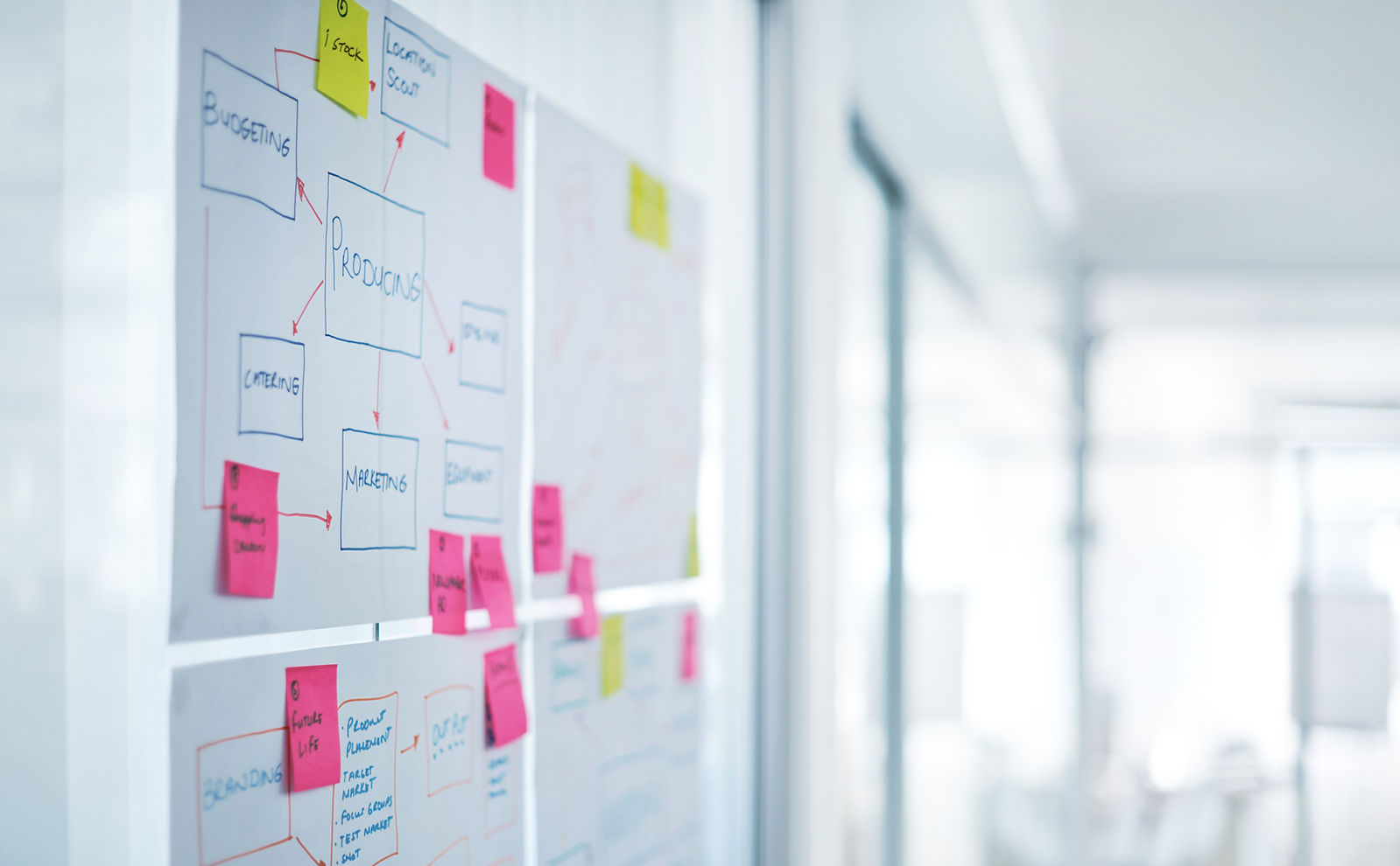 Consultoria em marketing digital, criação de web sites e ecommerce