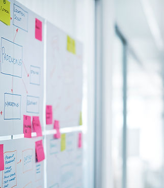 Marketing & Managament Experts
