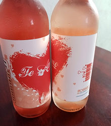 Botellas de Amor.jpg