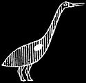 Crane.jpg