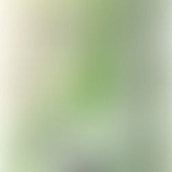 講師が演奏会に出演します