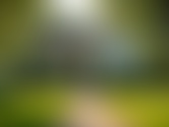 The Value of Personalized Insurance Services