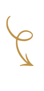 Elevate 360 Assets (5).png