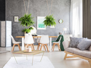 9 Eco-Friendly Home Improvement Ideas