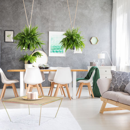 9 Eco-Friendly Home Improvement Ideas