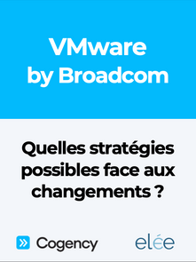 VMware by Broadcom: which possible strategies?
