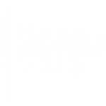 LOGO CODE 911 CONCESSION AUTOMOBILE PORSCHE RENNES BRETAGNE FRANCE