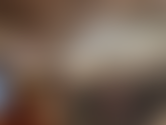 The Democratic Party needs Stronger Leadership.                