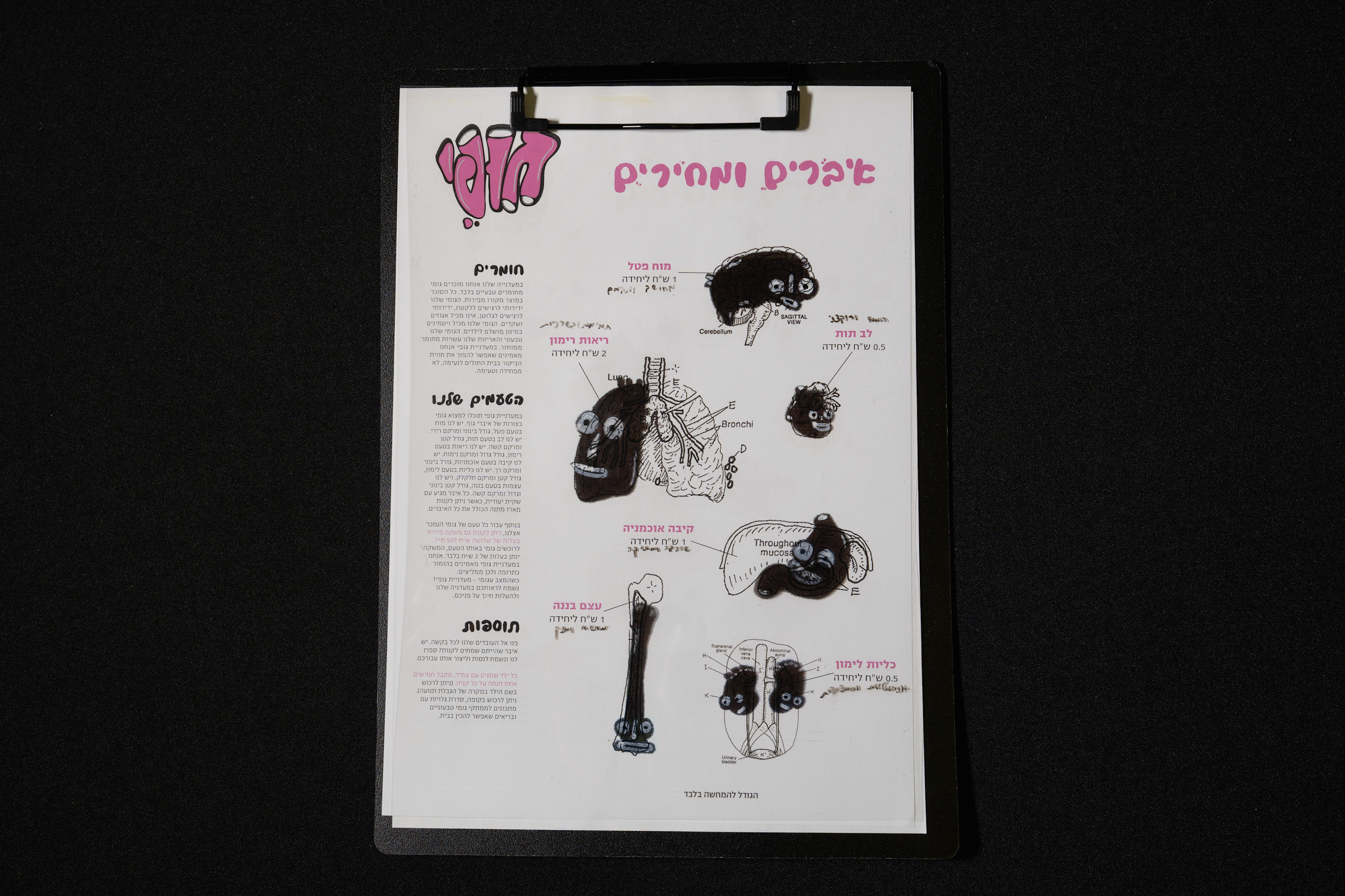 Inbal_Brouker-5.gif