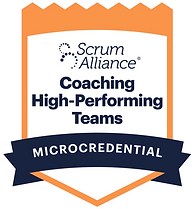 Agile Consulting - Coaching High-Performance Teams That Deliver.png