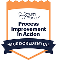 Process Improvement in Action.png