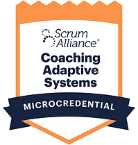 Organizational Agility_ Coaching Adaptive Systems in Complex Environments.png