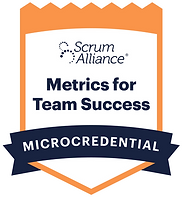 Metrics for Team Success.png