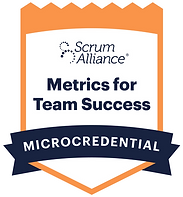 Metrics for Team Success.png