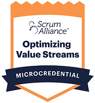 Optimizing value streams_4x.png