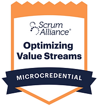 Optimizing value streams_4x.png