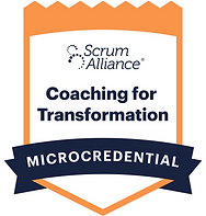 Coaching for Transformation_4x.png