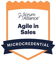 Agile in Sales.png