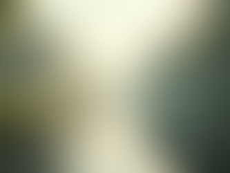 Enhancing Project Success Through Effective Stakeholder Engagement Strategies