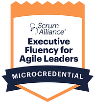 Executive Fluency for Agile Leaders.png