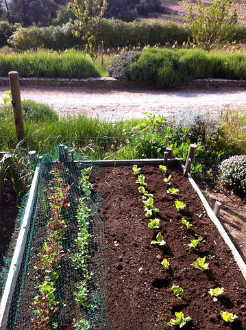 Potager