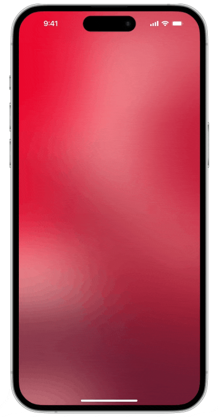 A GIF with the whole process of the app