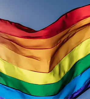 lgbtqflag.webp