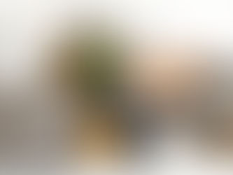 Why Working With a Design Studio Can Save You Money, Stress, and Costly Remodeling Mistakes