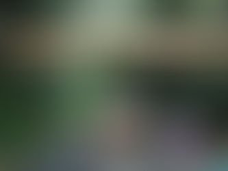 エコーパークの再開発と地元カルチャー