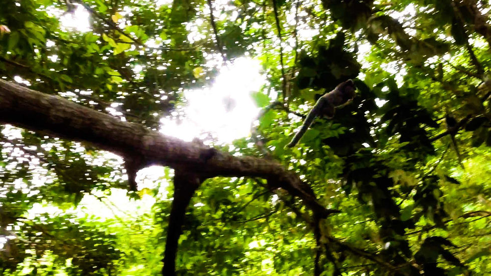 DJI_0791 (2).00_02_17_10.Still020.jpg