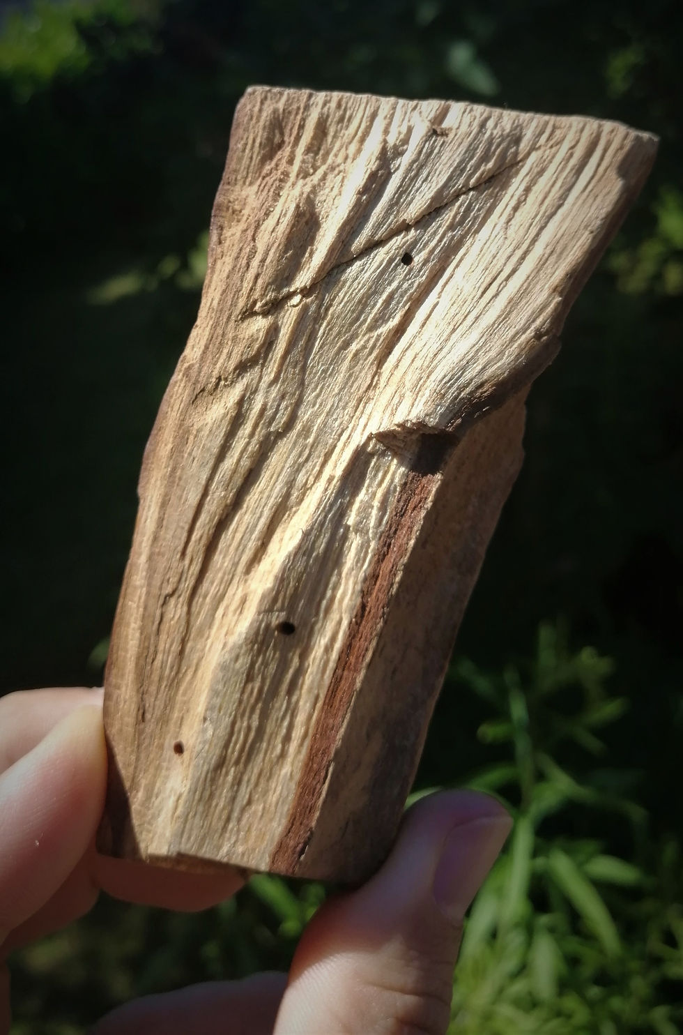 Miniaturbild: Palo Santo | 50 Gramm Holz