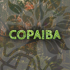 Store Products Copaiba.jpg