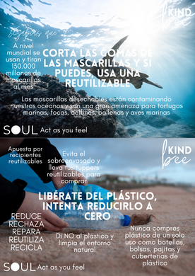 bee KIND - SOUL (4).png