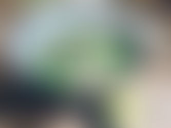 noodle broth soup recipe