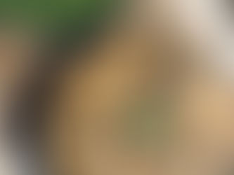 pasta aubergine timbale recipe