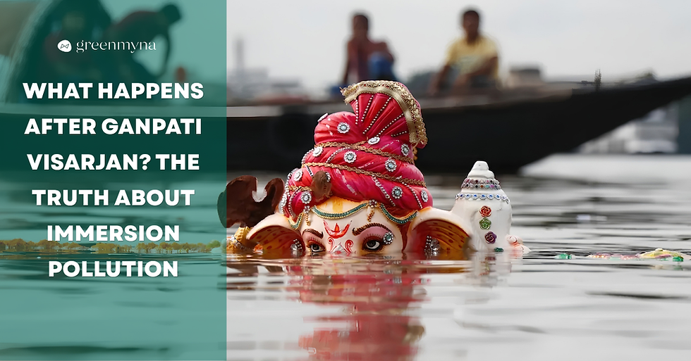 What Happens After Ganpati Visarjan
