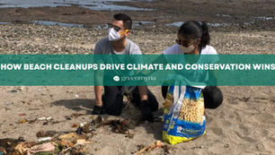How Beach Cleanups Drive Climate and Conservation Wins