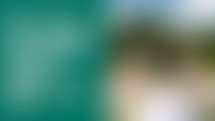 Why Should You Choose a Sustainable Wedding Over a Traditional One?