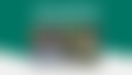 10 Local Flowers for Indian Weddings The Eco-Logistics Guide