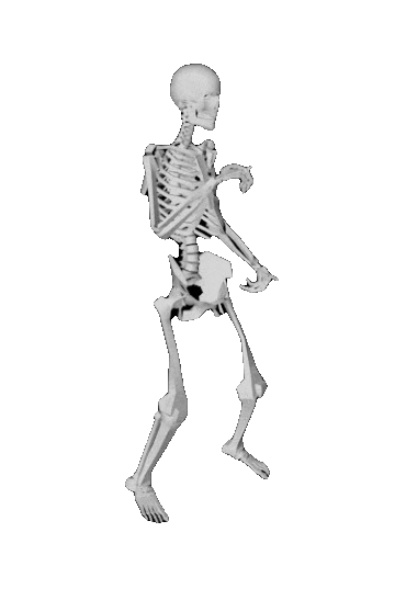 Skeleton-Dance-GIF-by-aurel-unscreen.gif