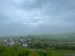IMG_6657