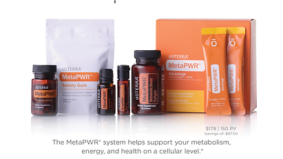 MetaPwr Kit.png