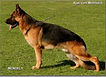 AJAX V MUHLBACH_edited.jpg