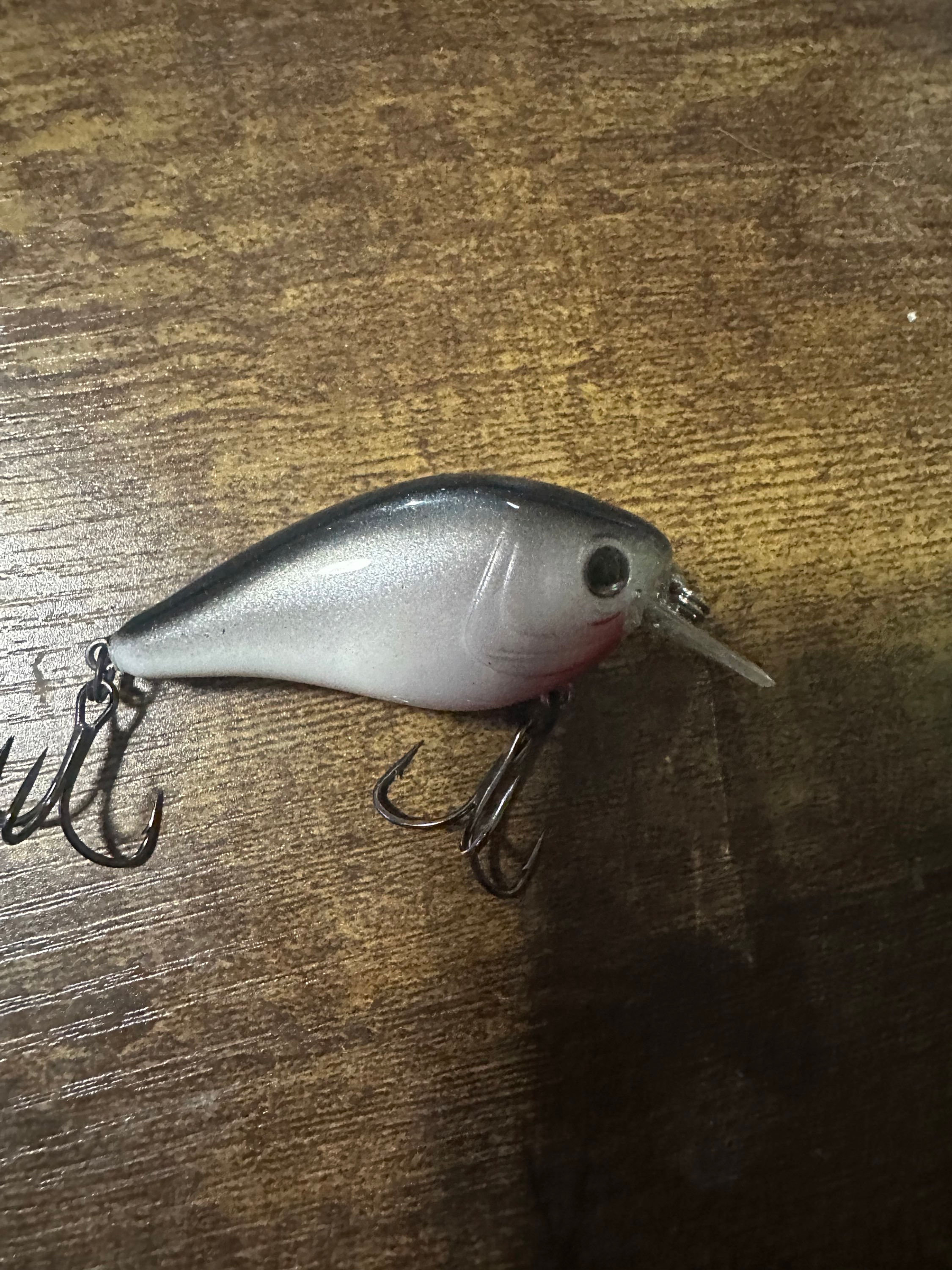 Red throat shad