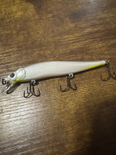 Chartreuse shad