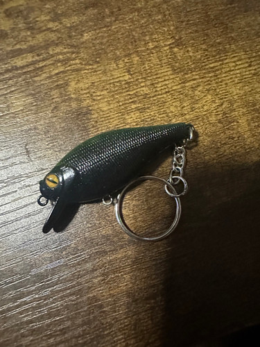 Green/black key chain