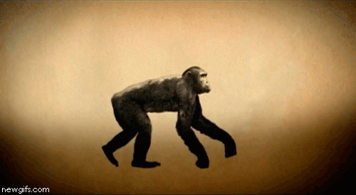 b9706e4a21f2728a2c1d4caf62303f7a.gif