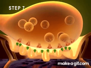 ARXLVl.gif